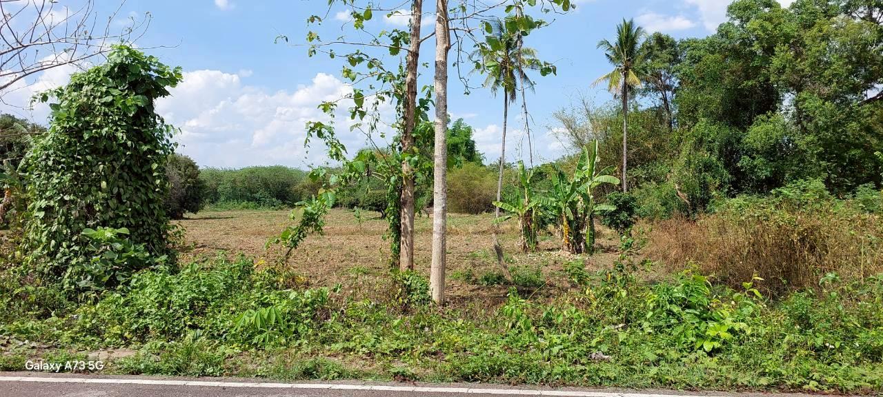 ขายที่ดินเปล่าในจ.ลำพูน ด้านหน้าติดถนนใหญ่ ติดแม่น้ำ พื้นที่สวย ทำเลดี อยู่ในเขตชุมชน ปลอดภัย ห่างจากสถานที่ราชการไม่เกิน 700 เมตร 2