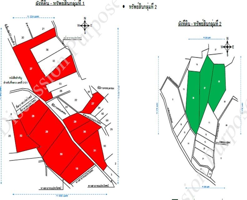 ขายที่ดินกลุ่มใหญ่ ต.บางน้ำจืด อ.หลังสวน จ.ชุมพร 196.27 ไร่ 5