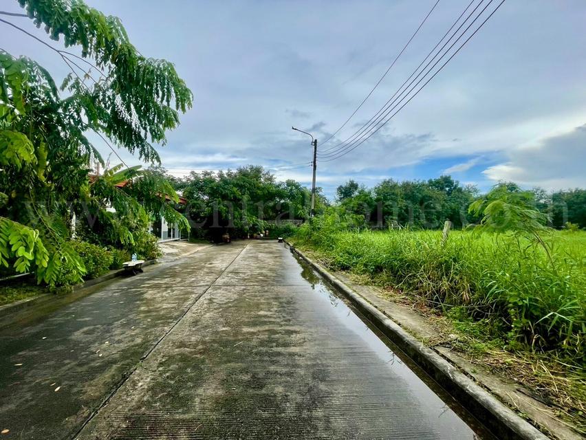 ที่ดินเปล่า 246 ตร.วา ปัญญาเลคโฮม คลองสามวา ขายเท่าราคาประเมิน 3