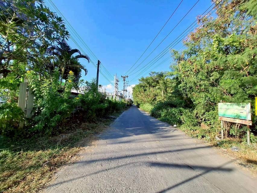 Vายด่วนที่ดินคลองแปด 100 ตารางวา ติดถนนคอนกรีตสาธารณะ ถมแล้ว ซอย คุณสัมฤทธิ์ อ.ธัญบุรี จ.ปทุมธานี 10