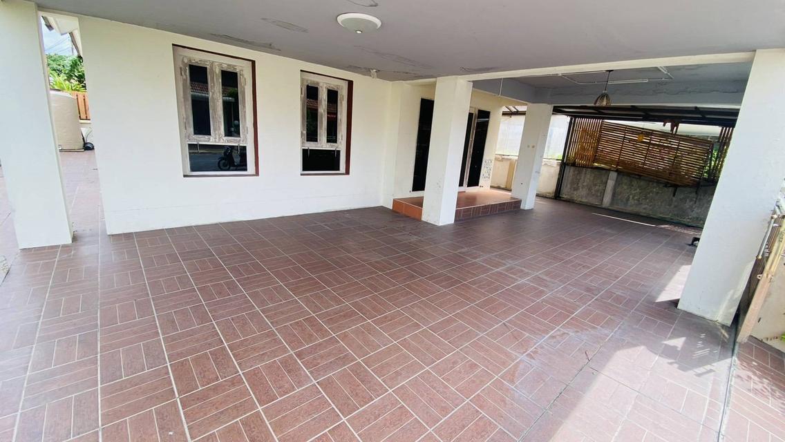 ขาย / เช่าบ้านเดี่ยว ตามสภาพ ชั้นเดียวใกล้สุขุมวิท ขนาด 58 ตร.วา 3 นอน 2 น้ำ ทำเลดีเดินทางสะดวก ( เลี้ยงสัตว์พันธุ์เล็กได้ ) 4