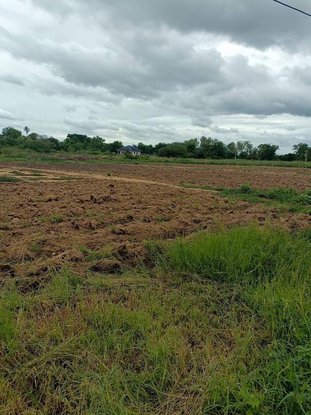 ขายที่ดินเปล่า 10 ไร่ 3 งาน 76 ตรว. ต.กระตีบ อ.กำแพงแสน จ.นครปฐม 3