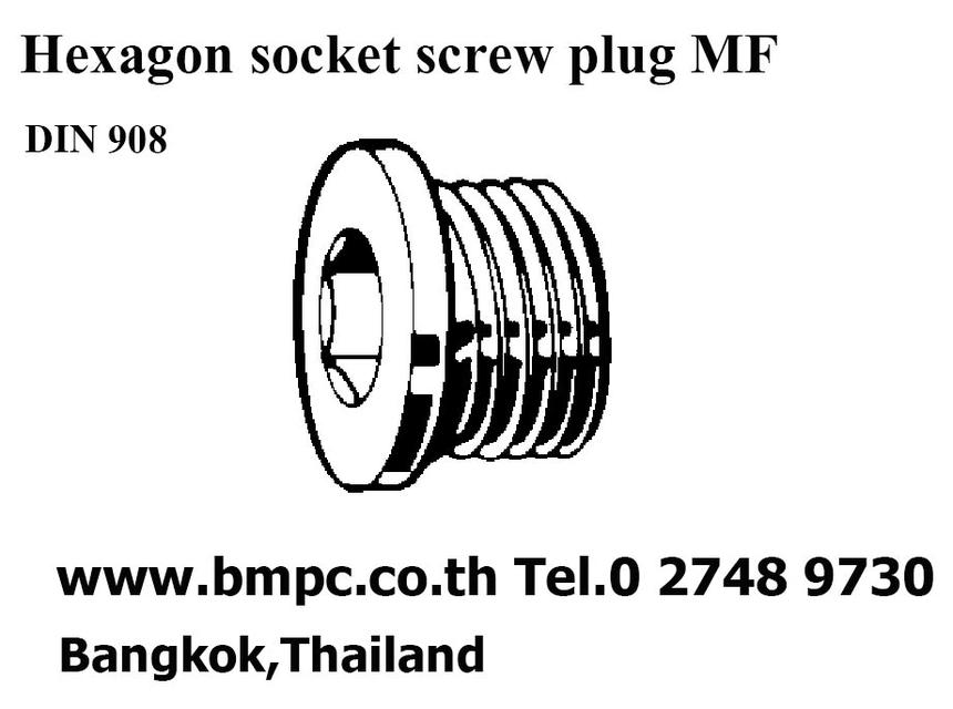 Oil plug, ปลั๊กอุดน้ำมัน, Pipe plug with external taper screw thread , Screw plug, Drain plug, น๊อตถ่ายน้ำมัน, Disc spring