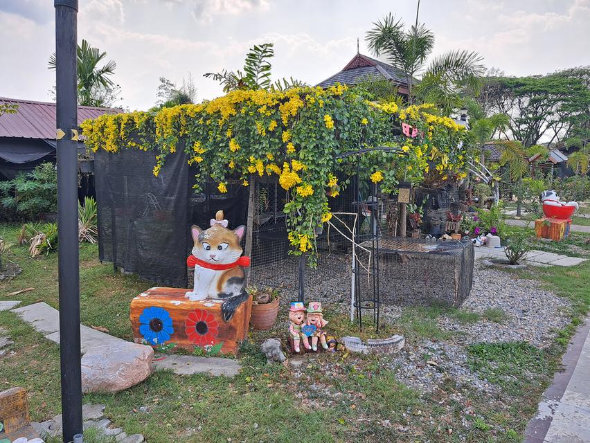 บ้านเรือนไทยสวนผลไม้รีสอร์ทส่วนตัว 14