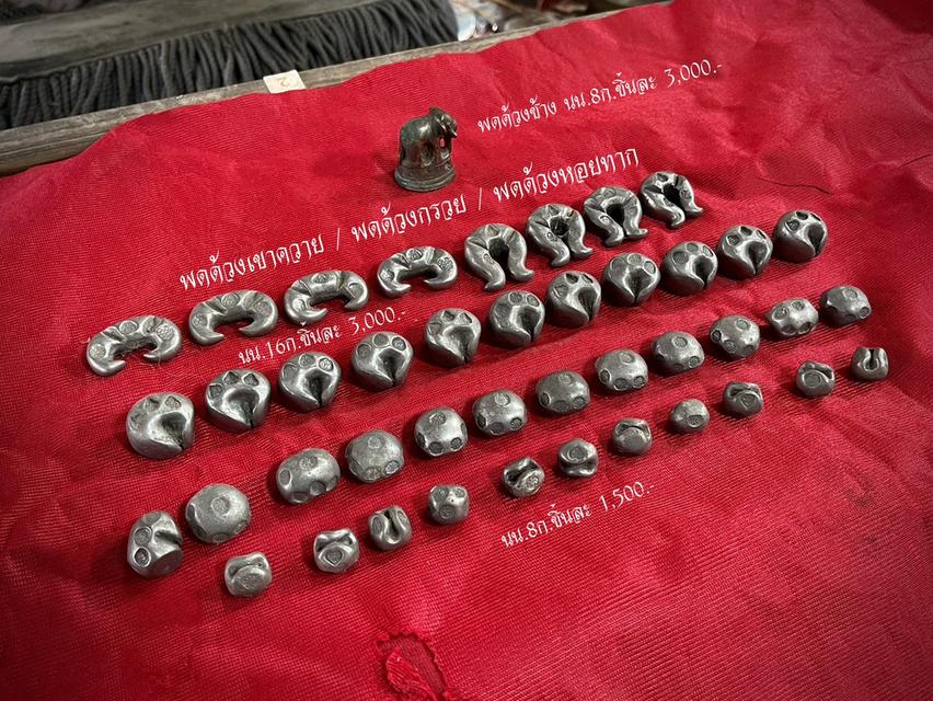 พดด้วงโบราณ พดด้วงรูปทรงต่างๆ พดด้วงก้นหอย เงินพดด้วงโบราณ 2