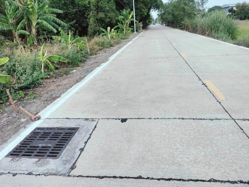 ขายด่วนที่ดิน 452 ตรว ติดถนนคอนกรีตสาธารณะ ถมแล้ว ซ.คลองสาม 12/17 คลองหลวง ปทุมธานี 4