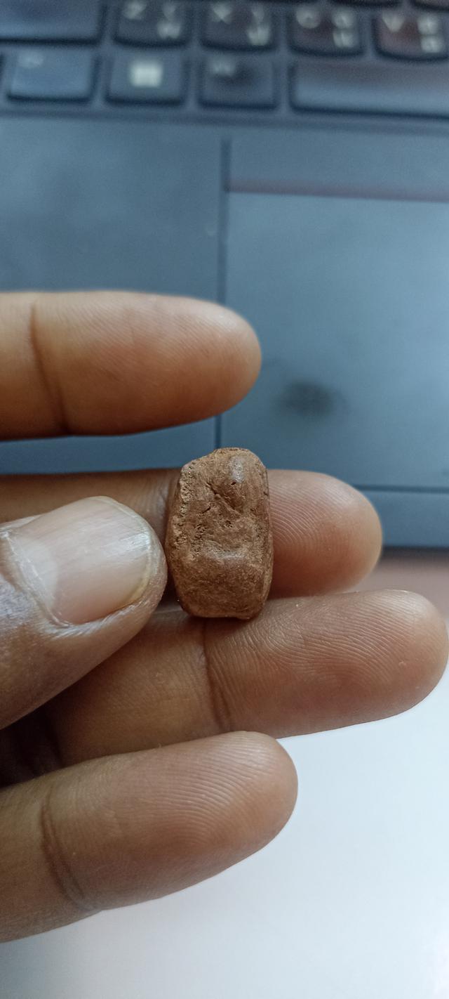 เม็ดน้อยหน่ากรุวัดพระแก้วกำแพงเพชร รูปย่อยที่ 3