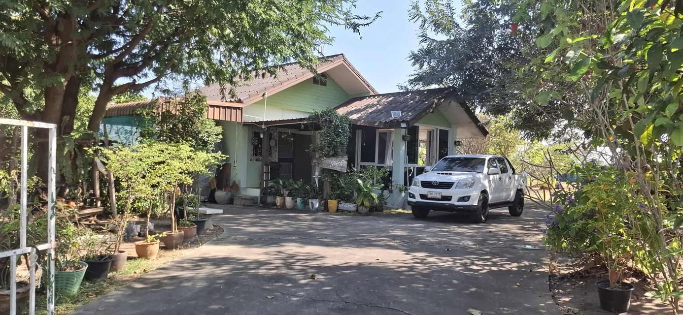 5 ไร่ ทางเข้าไทวัสดุ  โคราช บายพาส ปักธงชัย - จอหอ  9.8 ล้าน 19