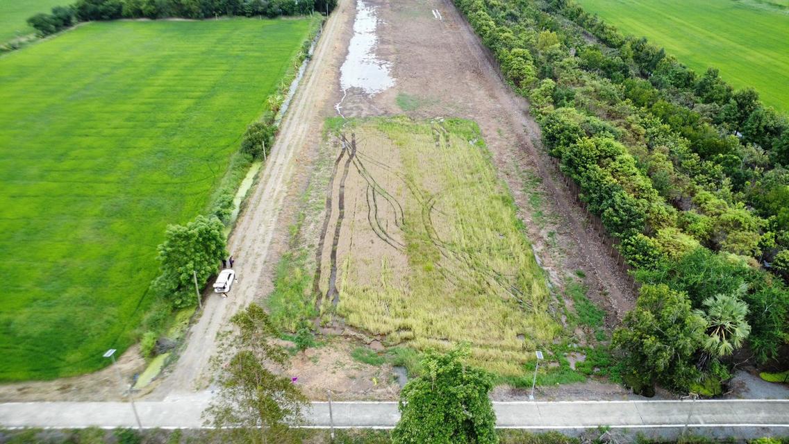 ขายที่ดินเปิดแปลงใหม่ คลอง 11 ตำบล บึงบา อำเภอ หนองเสือ ปทุมธานี 19