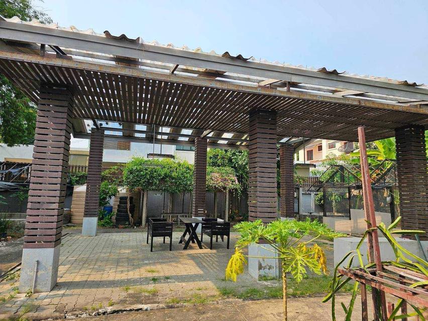 บ้านสวน 2 ชั้นกลางเมือง บรรยากาศร่มรื่น เป็นส่วนตัว ใกล้รถไฟฟ้า เหมาะสำหรับอยู่อาศัย ทำคาเฟ่ หรือเปิดร้านอาหาร ใกล้เซ็นทรัลลาดพร้าว 9