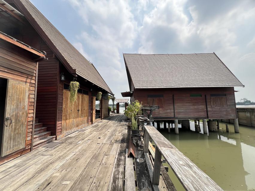 ขายบ้านพร้อมที่ดิน Luxury House ติดริมแม่น้ำเจ้าพระยา เนื้อที่ 1 ไร่ อำเภอเมืองปทุมธานี ราคา 35 ล้านบาท 17
