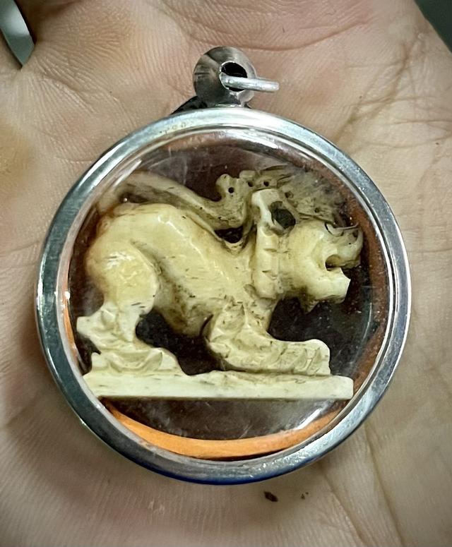 สิงห์งาแกะ หลวงพ่อเฮง ไพรวัลย์ วัดเขาดิน จังหวัดนครสวรรค์ ขนาดห้อยบูชา 3