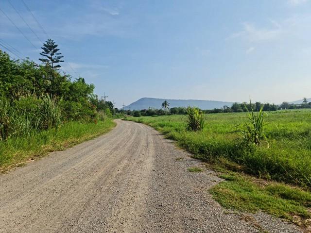 ฝากไว้ให้พิจารณานะคะ ที่ปากช่อง 2ไร่- 8ไร่ โฉนด ต.วังไทร อ.ปากช่อง จ.นครราชสีมา ไร่ละ 2.9 ลบ.สูงจากระดับน้ำทะเลมาก น้ำไฟ 6