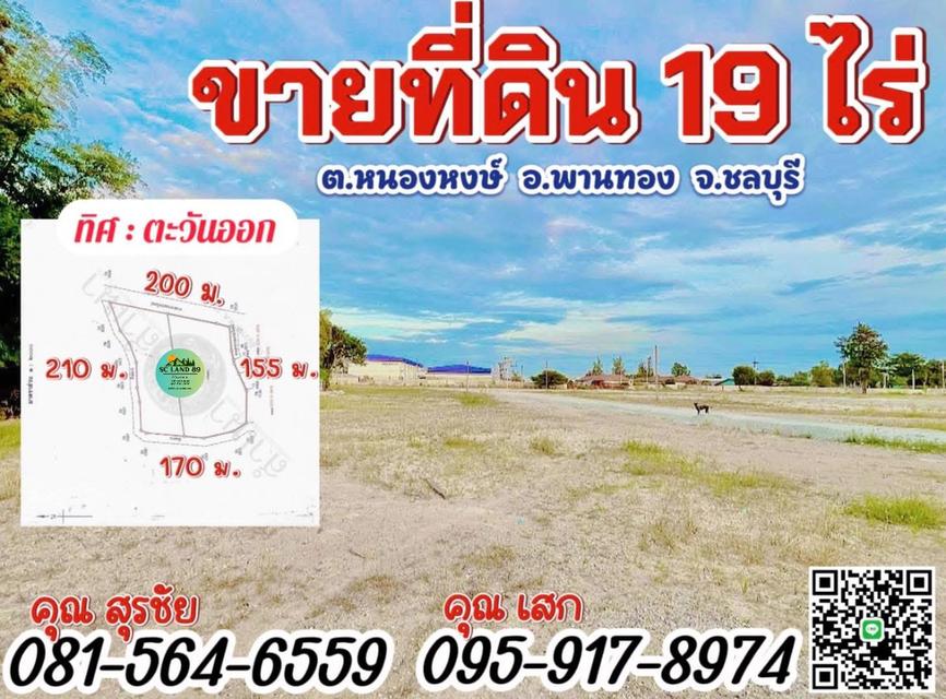 ขายที่ดิน 19 ไร่ ต.หนองหงษ์-พานทอง-ชลบุรี 1