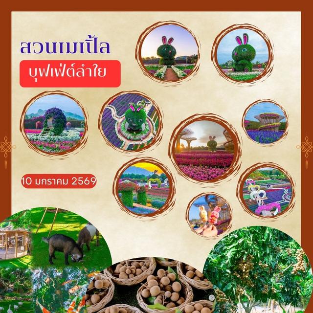 เที่ยวกาญจนบุรี  Day Trip