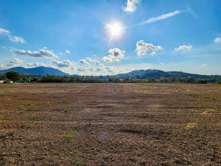 ขายที่ดินทำเลศักยภาพ ในอนาคตรถไฟฟ้าความเร็วสูงผ่าน และสนามบินนานาชาติอู่ตะเภา 8