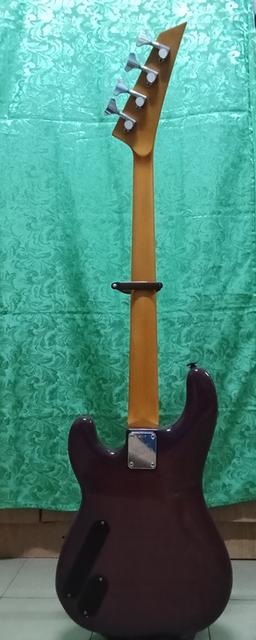 Bass ESP 10