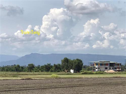 ที่ดิน ราคาถูก  รีบใช้เงิน 1