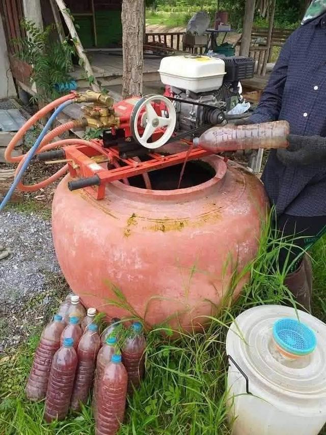 ที่ดินจำนวน 5 ไร่สระกระโจม ดอนเจดีย์ สุพรรณบุรี