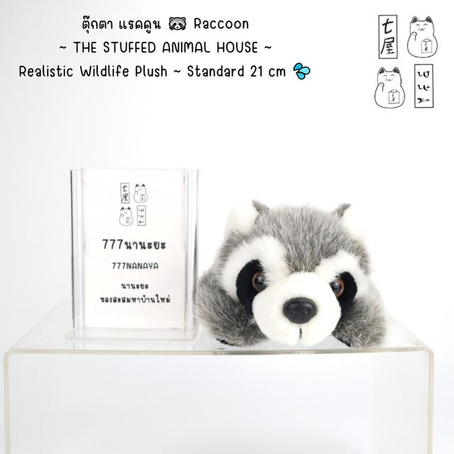 ตุ๊กตา แรคคูน 🦝 Raccoon ~ THE STUFFED ANIMAL HOUSE ~ Realistic Wildlife Plush ~ Standard 21 cm 💦
