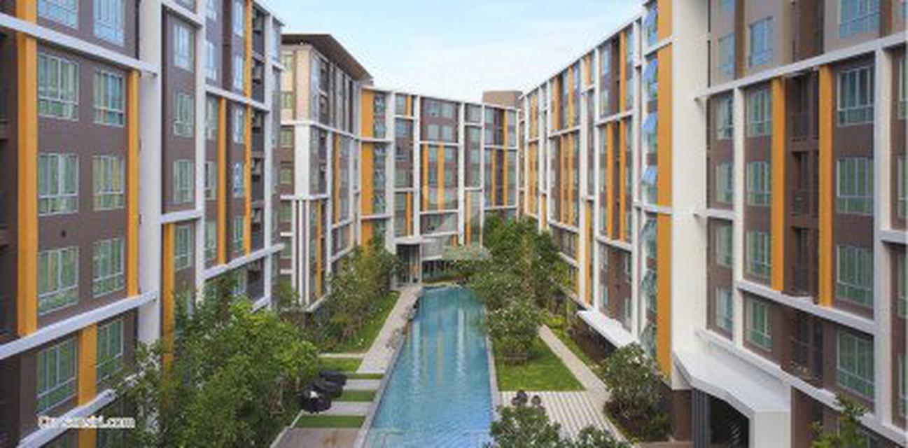 ขาย คอนโด พร้อมผู้เช่า ดี คอนโด แคมปัส รีสอร์ท บางแสน 29.82 ตรม. ห้องตกแต่งสวย D Condo Campus Resort Bangsaen for #SALE 1