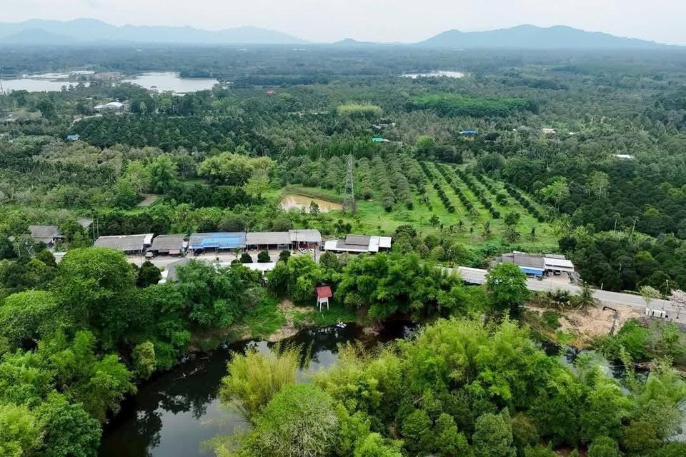 ที่ดิน อ.มะขาม จังหวัดจันทบุรี 4