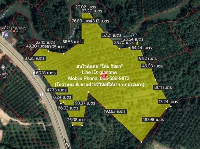 รหัส DSL-367 ขายด่วน ๆ ที่ดิน ที่ดิน ทุ่งมะพร้าว อ.ท้ายเหมือง จ.พังงา 36 RAI 2 ngan 23 ตร.ว. 91396250 BAHT ทำเลดี 1