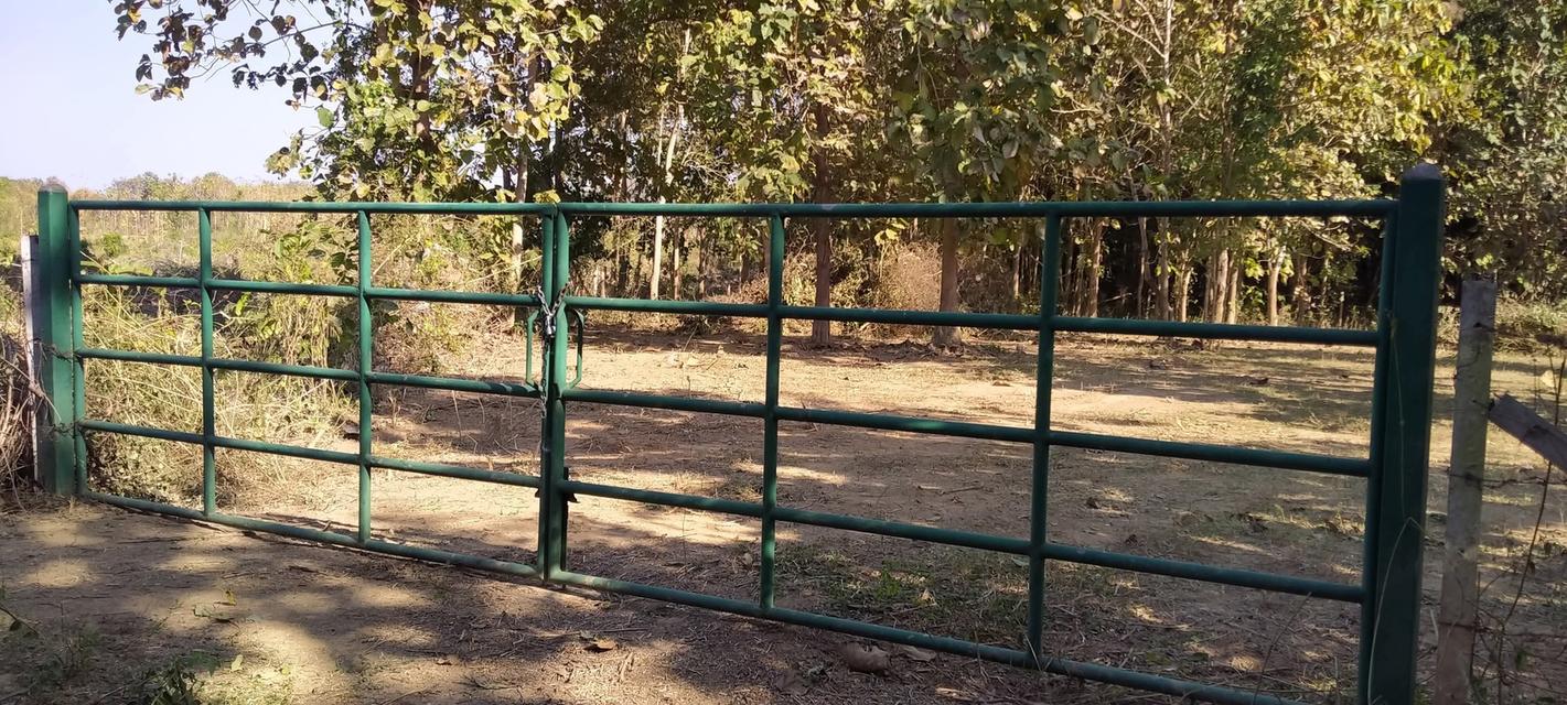 ที่โฉนดติดแม่น้ำวังพื้นที่ 5ไร่2งาน69ตรว.1.9 ล้านบาท (ฟรีโอน)ด้านในบริเวณที่ดินปลูกไม้สัก ลำไย มะม่วงที่ดินมี2ระดับชั้น ชั้นบนจะอยู่ระดับเดียวกับถน 15