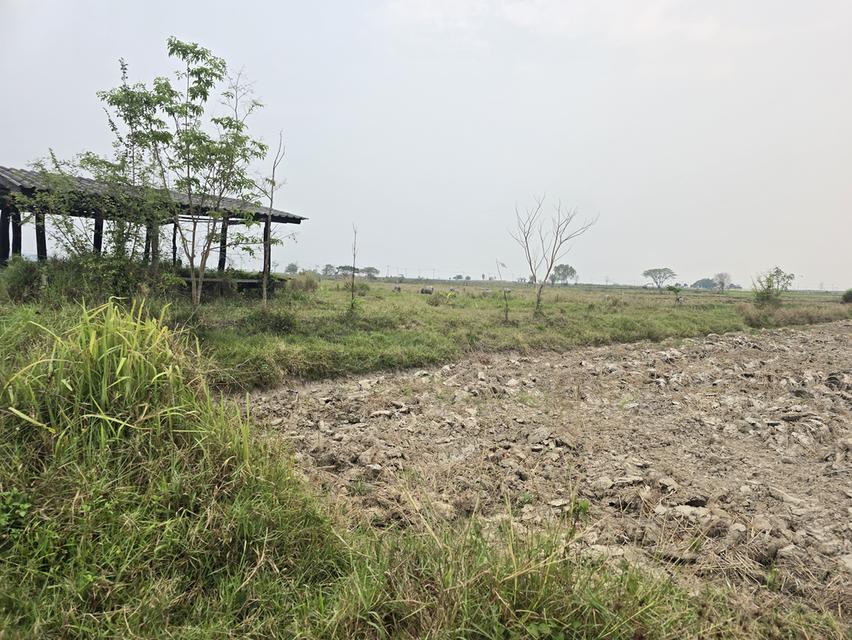 ที่ดินสวยทำเลดีใกล้กว๊านพะเยา 6