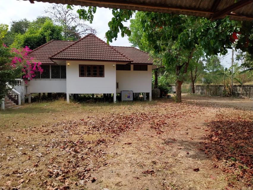 บ้าน2หลัง2แปลง พร้อมที่ดิน  2แปลง 4