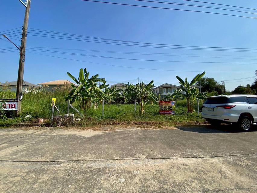 ขายต่ำกว่าประเมิน ที่ดินหมู่บ้านปาริชาต 76 ตรว ถมแล้วทั้งแปลง โซน A62/1 ถนน 345 อ.เมืองปทุมธานี จ.ปทุมธานี 3