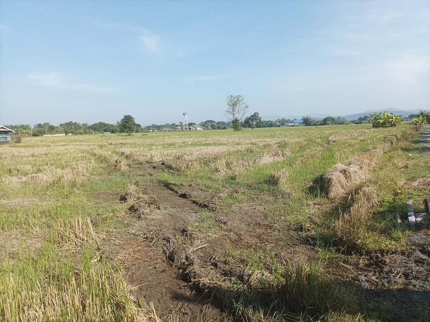 ขายที่ดิน5ไร่ วิวสวย ต.ป่าป้อง อ.ดอยสะเก็ด จ.เชียงใหม่ 9