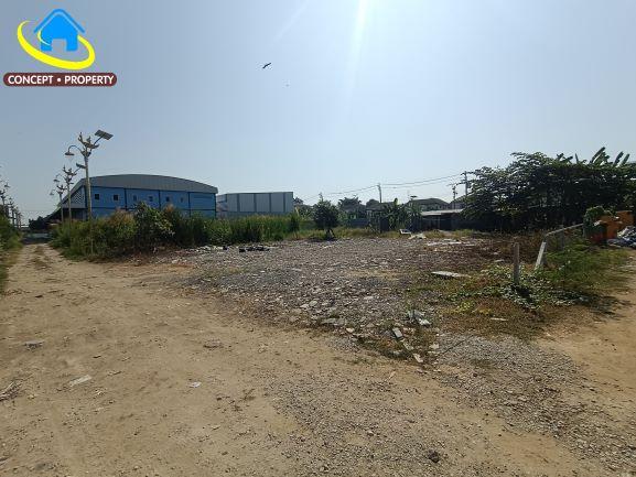 ให้เช่าที่ดิน 140 ตารางวา ซอยลาดกระบัง14/1 ซอยราชา 11 ลาดกระบัง 1