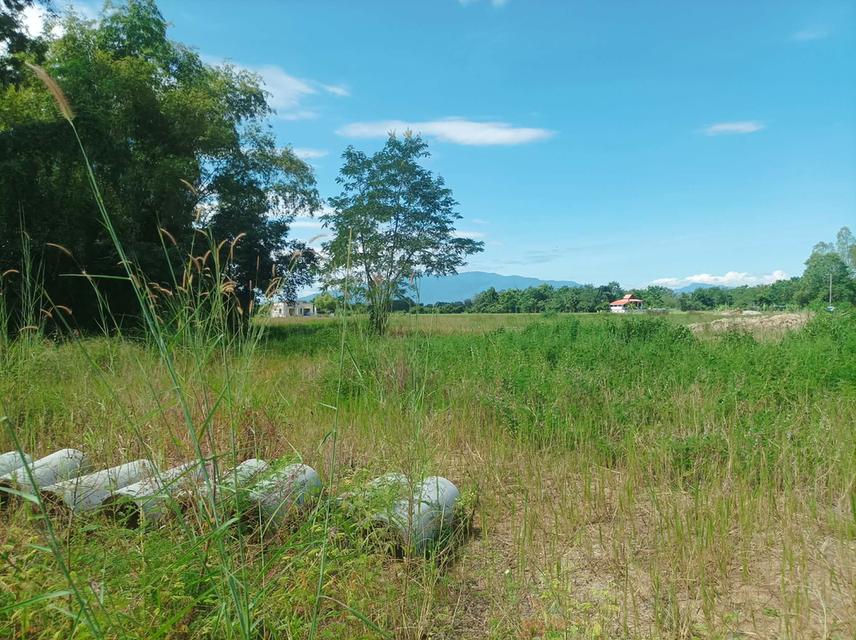 ขายที่ดิน ราคา3,980/ตร.ว. ต.สำราญราษฎร์ อ.ดอยสะเก็ด จ.เชียงใหม่ 9