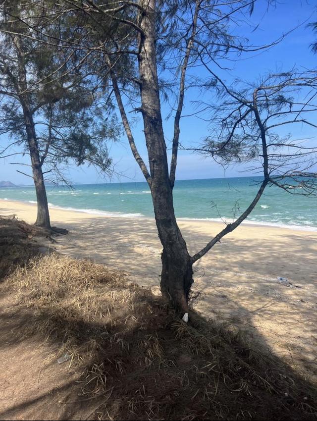 ต้องการขายที่ดินติดทะเล 7