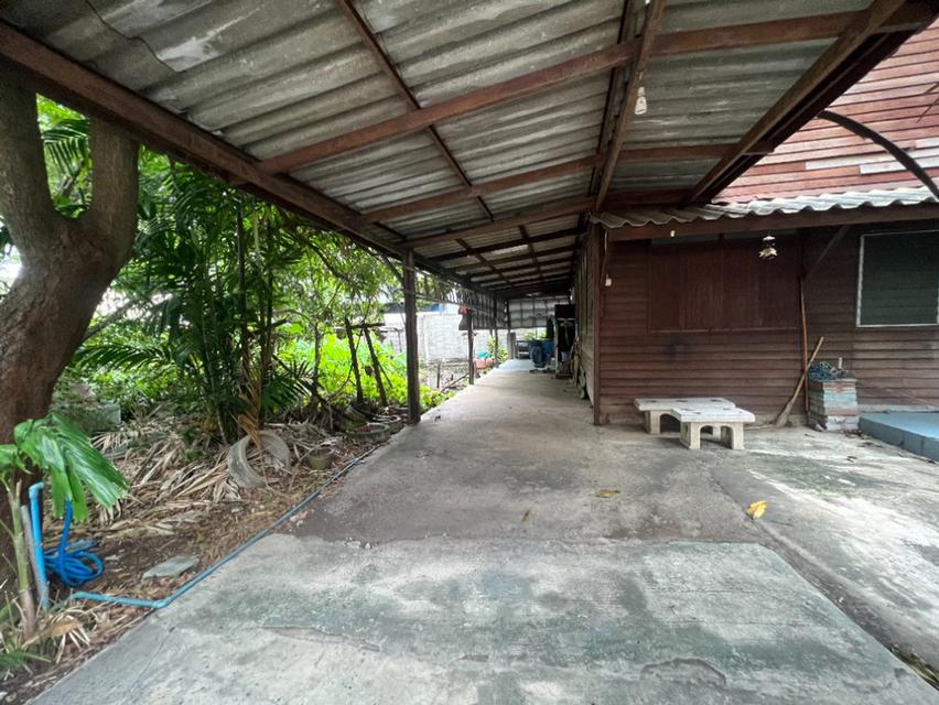 ขายที่ดิน ถ. ประชาราษฎร์ ( ซ.วัดลานนาบุญ ) ถ. นครอินทร์ , ใกล้ บิ๊กซี ติวานนท์ , MRT (สะดวกแม้ไม่ใช้รถ เดินสบายใกล้ถนนใหญ่เพียง 2 นาที) 13