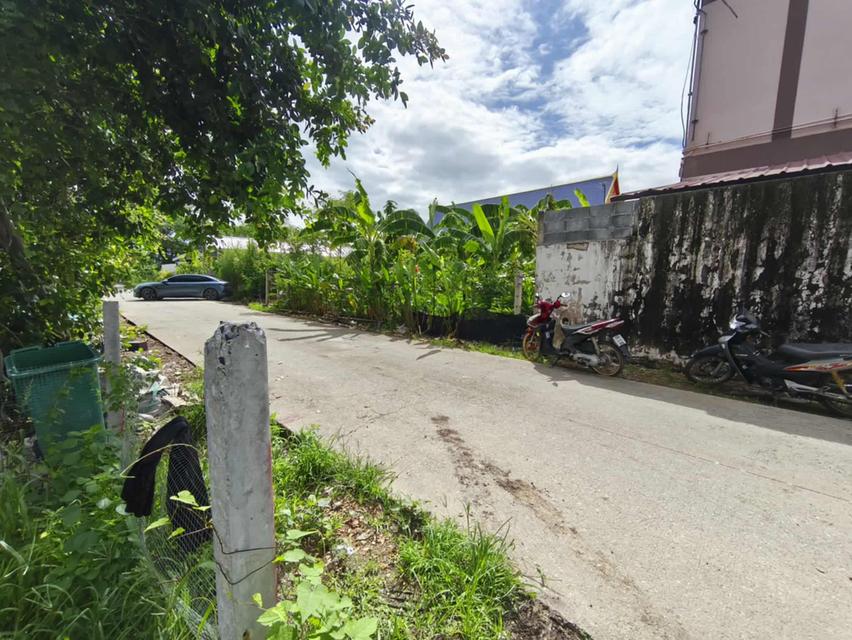 ขายที่ดินสวยถมแล้วคูบางหลวงสีม่วง 60 ตรว.ซอยเรณูอุทิศ ใกล้ถ.ปทุมธานี-บางเลน346-200เมตร อ.ลาดหลุมแก้ว ปทุมธานี 4
