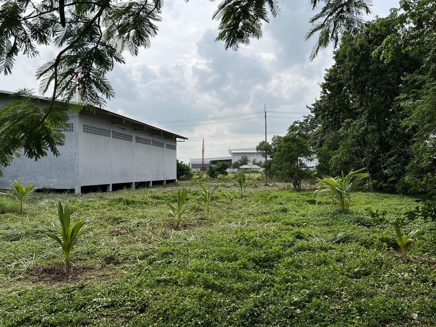 ขายที่ดิน พร้อมโกดัง 4
