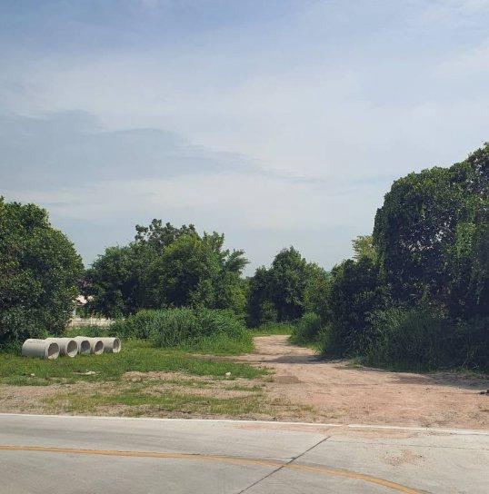 ขายที่ดินหนองรี 10 ไร่ ติดถนนคอนกรีตหนองรี-ท้องคุ้งซอย12 ใกล้ถนนเลี่ยงเมือง365-2กม. เมืองชลบุรี 4