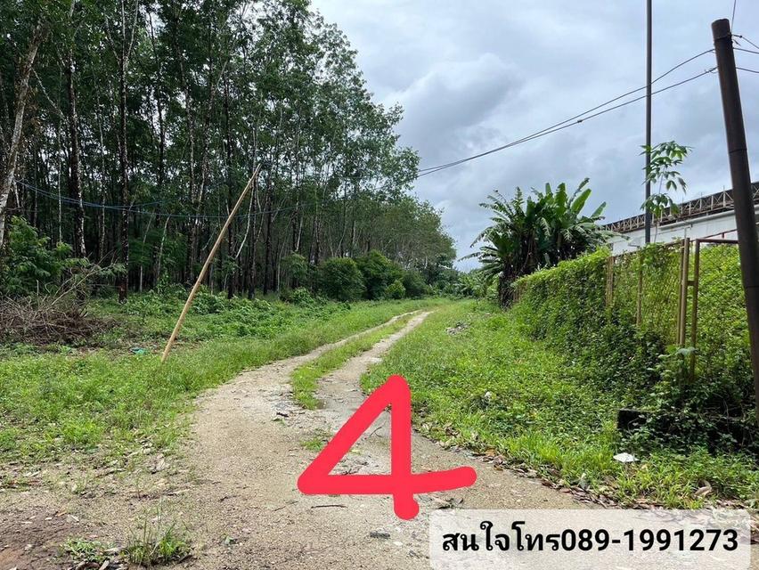 ขายที่ดิน 64 ไร่ 151.10 ตร.ว ในตัวเมือง จ.ระนอง ติดโลตัส  4