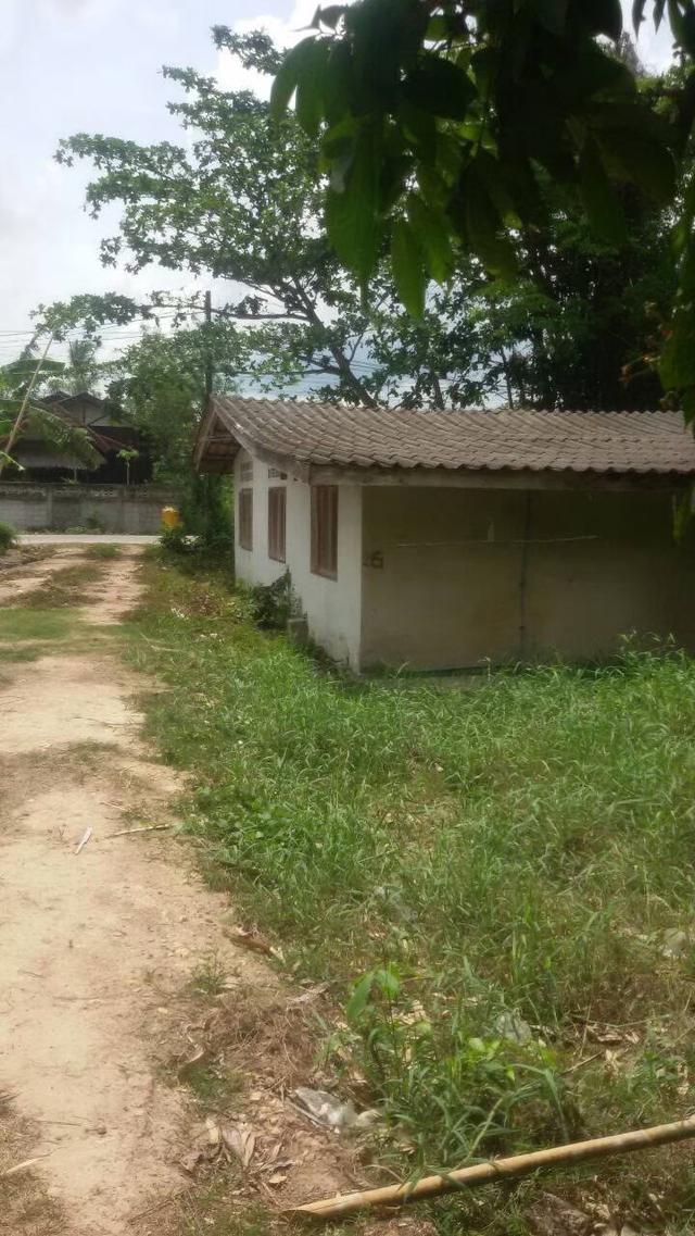 ขายที่ดินบ้าน ม.6 บ้านมะกรูด โคกโพธิ์ ปัตตานี