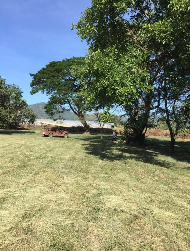 ที่ดินเปล่าวิวเขา ติดลำธาร จ.เพชรบูรณ์ 7