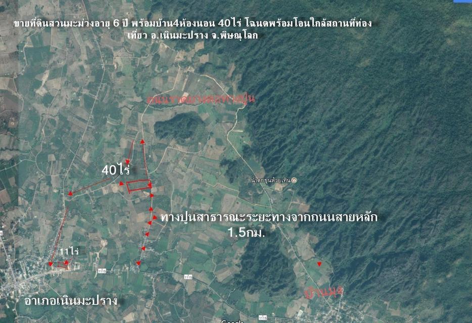 บ้านพร้อมที่ดิน 40 ไร่ จังหวัดพิษณุโลก อำเภอเนินมะปราง 2