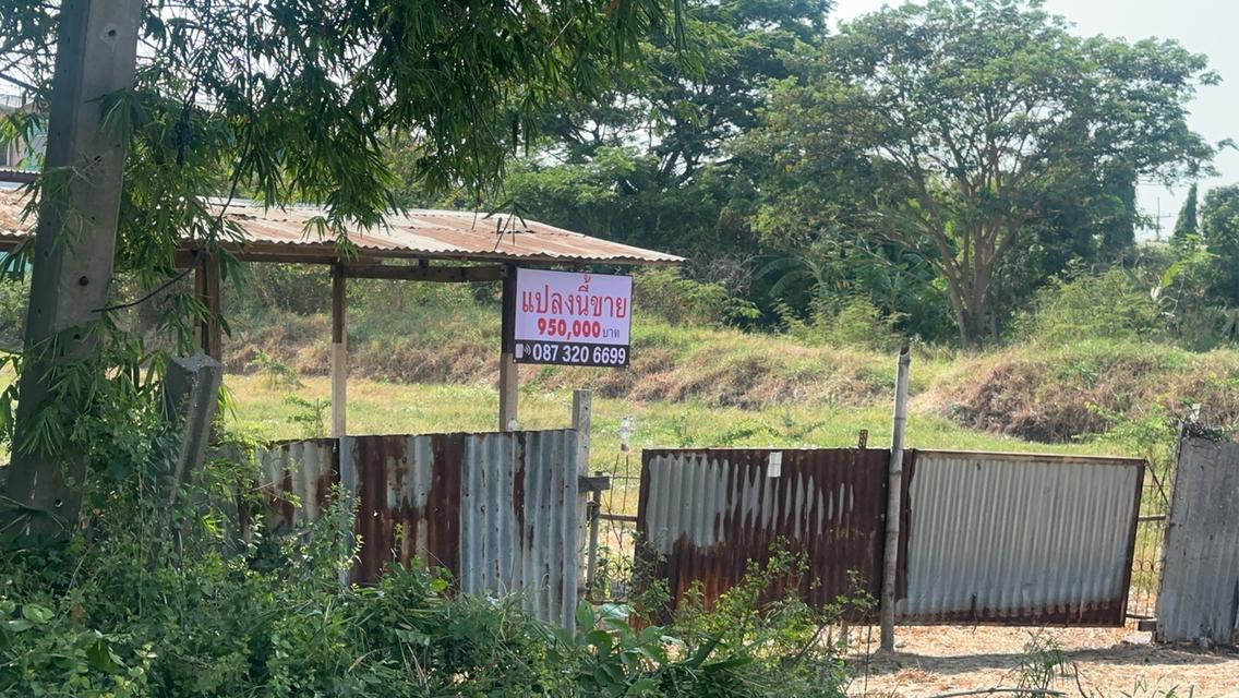 ขายที่ดิน 1 ไร่  อ.พระนครศรีอยุธยา 2