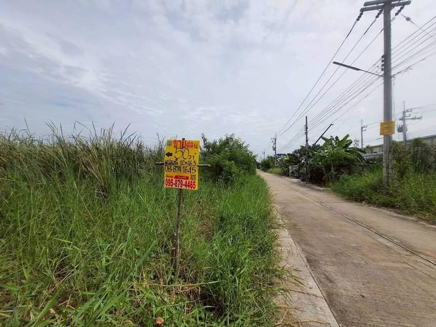 ขายด่วนที่ดินใกล้มอเตอร์เวย์ 50 ตารางวา ติดถนนคอนกรีตสาธารณะ ชอย คลองสี่ตะวันออก 14 อ.คลองหลวง จ.ปทุมธานี 1