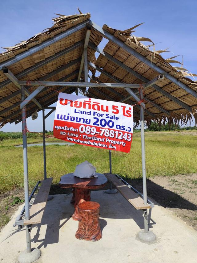 ขายที่ดินเปล่า แปลง 1-9 ไร่แปลงสวย อากาศดี มีบ่อน้ำใส แบ่งได้ ที่ใกล้หอพัก นกฮูกเก้า ม. เกษตร กำแพงแสน นครปฐม 4