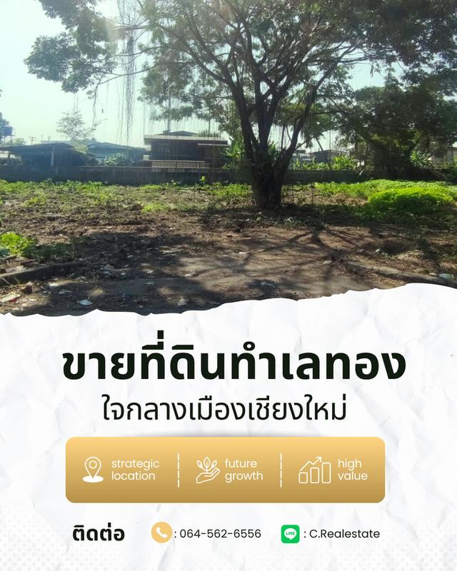 5 นาที โลตัสคำเที่ยง ที่ดินใจกลางเมืองใกล้แม่น้ำปิง 298 ตร.วา ต.ป่าตัน อ.เมือง จ.เชียงใหม่ 1