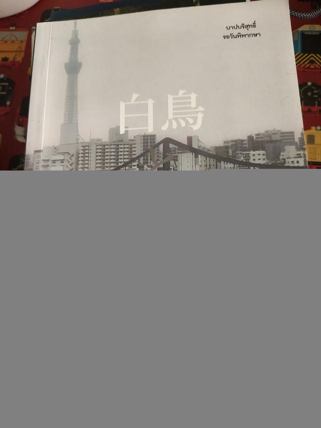 หนังสือสืบสวนสอบสวนของฮิราชิโนะ เคโงะ รูปที่ 6
