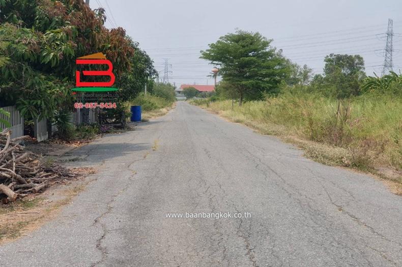 ที่ดินเปล่า (3 แปลง) หลังสถานีอนามัยบึงชำอ้อ คลองแปด เนื้อที่ 300 ตรว. ถนนรังสิต-นครนายก ตำบลบึงชำอ้อ อำเภอหนองเสือ จังหวัดปทุมธานี 6