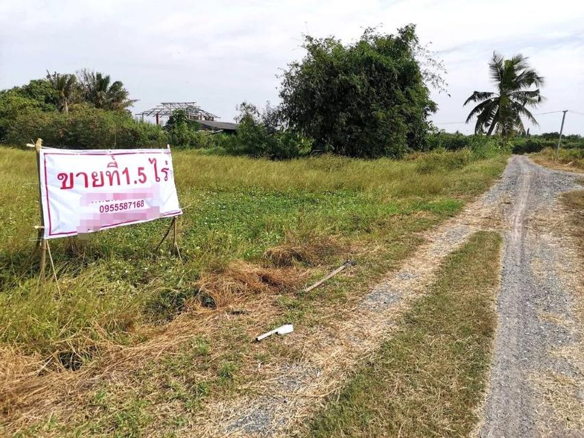 ขายที่ดินท่าไข่ 4 ไร่ 2 งาน จ.ฉะเชิงเทรา ที่ดินเพื่อการลงทุน ที่ดินเผื่อการเกษตร เจ้าของขายเอง  3